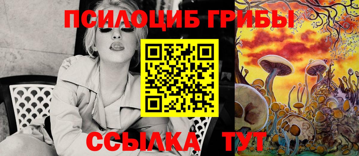 Балахна  Галлюциногенные грибы прущие грибы  Вход с VPN  Галлюциногенные грибы мухоморы 